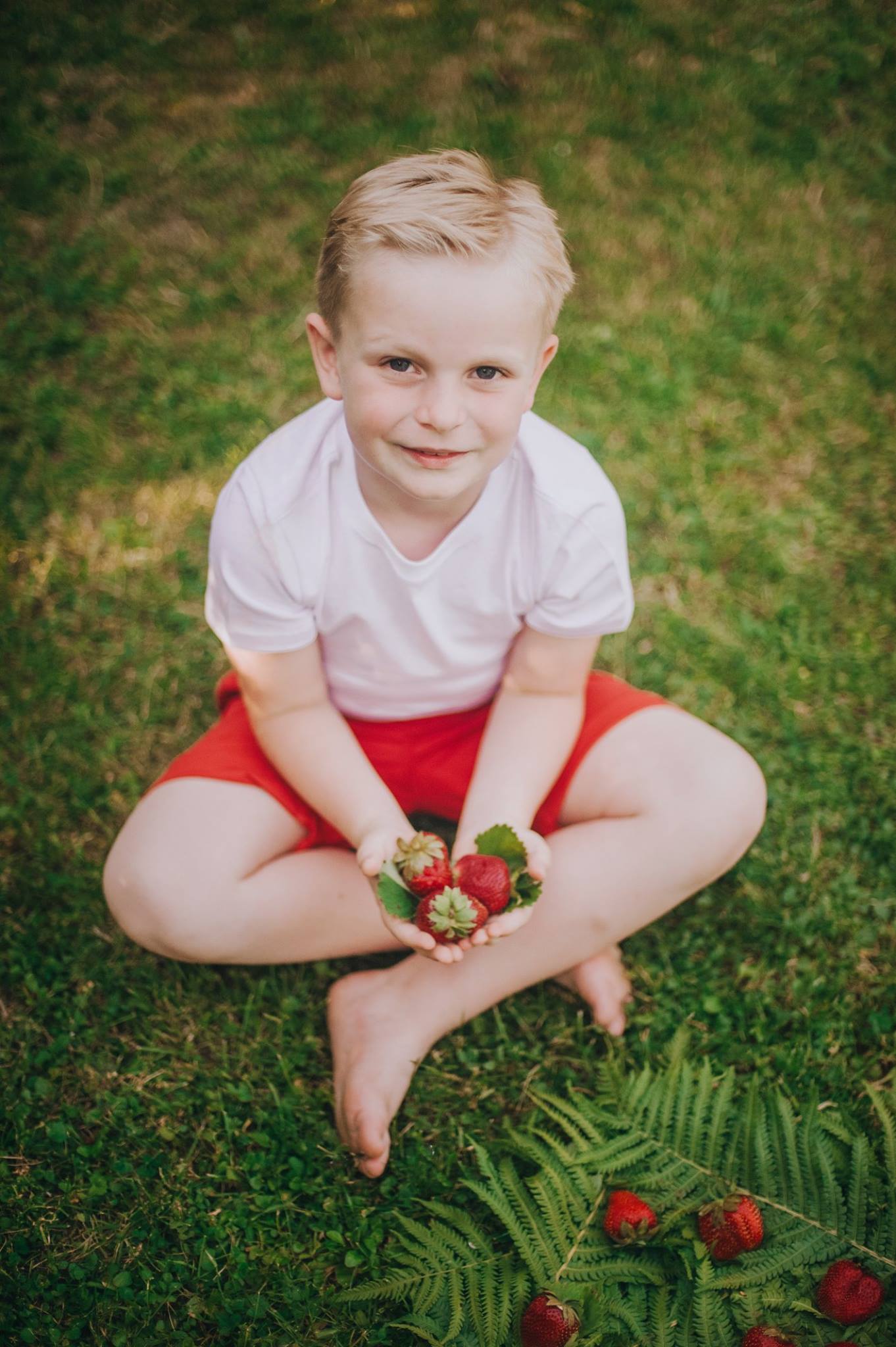 Portret chłopca w plenerze z truskawkami — Fotogłos