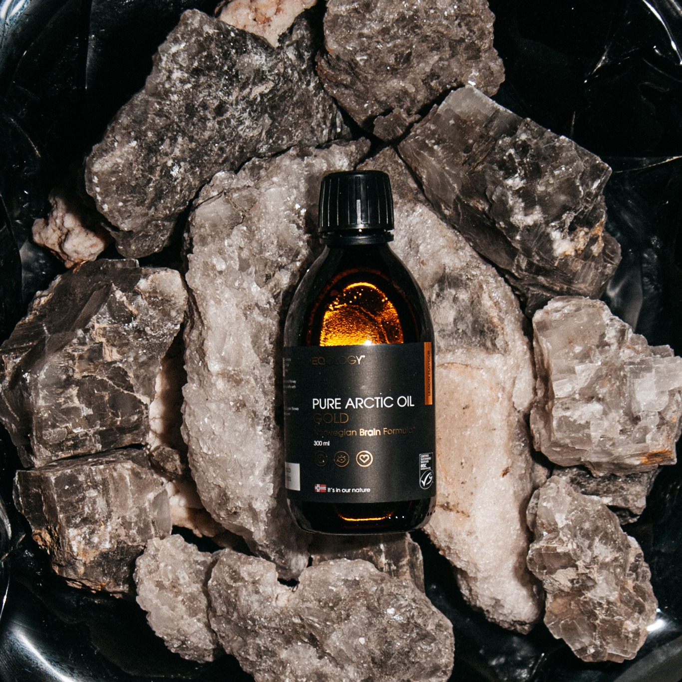 Fotografia produktowa — butelka Pure Arctic Oil na kamieniach — Fotogłos